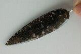 Black Agatized Dinosaur Bone Spear Pendant #4276-5